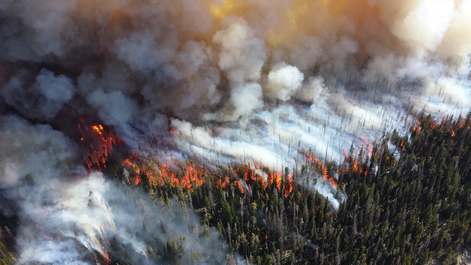 Inovând combaterea incendiilor naturale