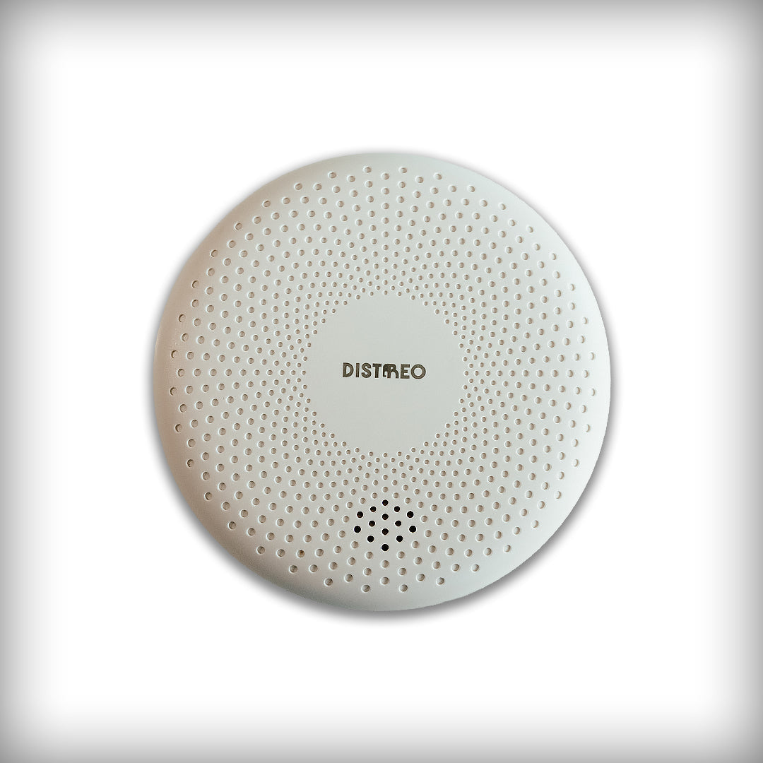 Smoke and carbon monoxide detector, 2-in-1, with audible alarm, CS11