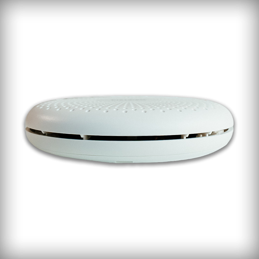 Smoke and carbon monoxide detector, 2-in-1, with audible alarm, CS11